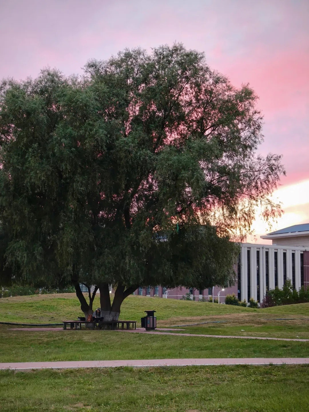 2025年“朋辈协力·心理成长”系列活动——黄色网站
研究生成功开展两院联动“光影寻静，破‘卷’而出”随手拍大赛